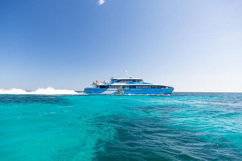 Rottnest Island All-Inclusive Grand Island Tour From Fremantle - Yamba Accommodation 0