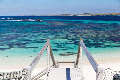 Rottnest Island All-Inclusive Grand Island Tour From Fremantle - Yamba Accommodation 4
