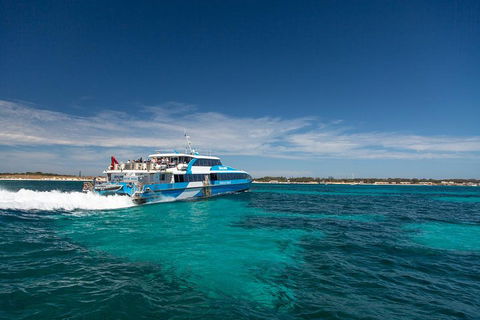 Rottnest Island Bike & Ferry Package From Fremantle - Yamba Accommodation 4