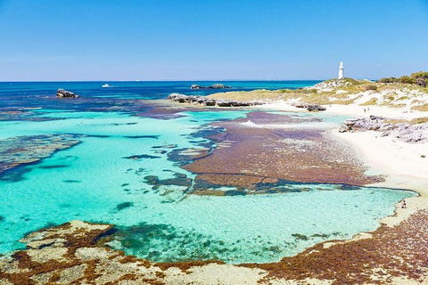 Rottnest Island Bike & Ferry Package From Fremantle - Yamba Accommodation 5