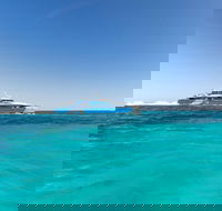 Rottnest Island Bayseeker Day Trip from Perth - Yamba Accommodation