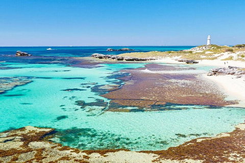 Rottnest Island Bayseeker Day Trip From Perth - Yamba Accommodation 4
