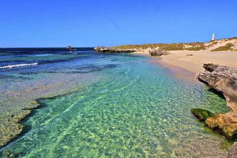 Rottnest Island Bayseeker Day Trip From Perth - Yamba Accommodation 5