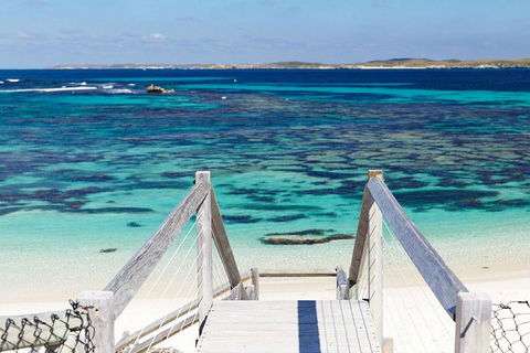 Rottnest Island Settlement Explorer Segway Package From Perth - Yamba Accommodation 4