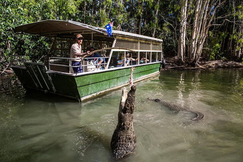 Hartley's Crocodile Adventures Day Trip From Palm Cove - Yamba Accommodation 2