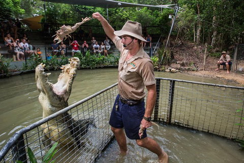 Hartley's Crocodile Adventures Day Trip From Palm Cove - Yamba Accommodation 4