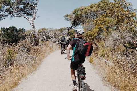 Self-Guided Point Nepean National Park Bike Hire - Yamba Accommodation 0