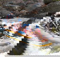 Barron River Half-Day White Water Rafting from Cairns - Yamba Accommodation