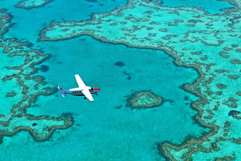 Reef And Island Scenic Flight From Airlie Beach - Yamba Accommodation 4