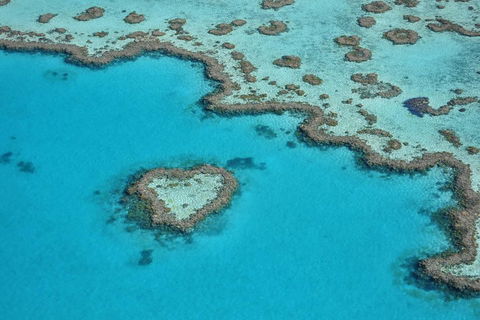 Reef And Island Scenic Flight From Airlie Beach - Yamba Accommodation 5