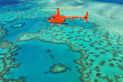 Whitehaven Heli Tour - Yamba Accommodation 3