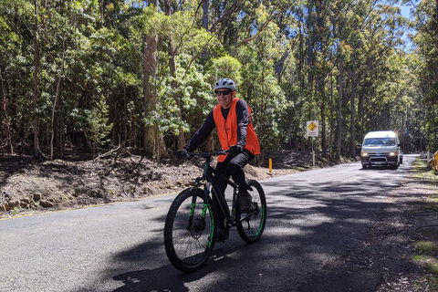 Mount Wellington Descent Cycling Tour Departs Hobart - Yamba Accommodation 3