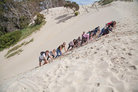 6-Day Tasmanian Explorer Adventure Tour From Hobart - Yamba Accommodation 2