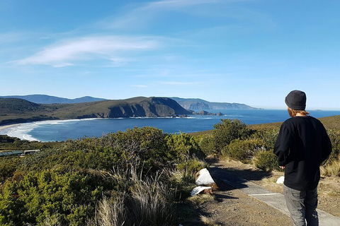 4-Day Fabulous Tasmania Tour: Wineglass Bay, Port Arthur, Devils & Bruny Island - Yamba Accommodation 0