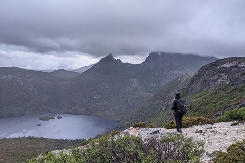 5-Day Best Of Tasmania Tour From Hobart - Yamba Accommodation 3