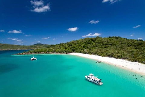 Whitehaven Beach And Hill Inlet | Awesome Beach BBQ | Family Friendly - Yamba Accommodation 3