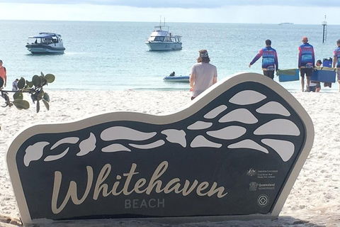 Whitehaven Beach And Hill Inlet | Awesome Beach BBQ | Family Friendly - Yamba Accommodation 5