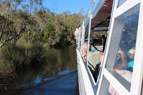 Serenity Cruise To Australia's Everglades - Yamba Accommodation 2