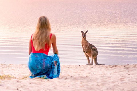 Serenity Cruise To Australia's Everglades - Yamba Accommodation 3