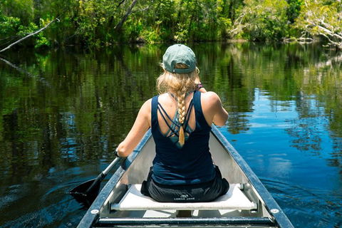 Cruise 'n' Canoe To Australia's Everglades - Yamba Accommodation 0