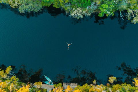 Cruise 'n' Canoe To Australia's Everglades - Yamba Accommodation 2