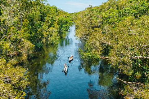 Cruise 'n' Canoe To Australia's Everglades - Yamba Accommodation 3