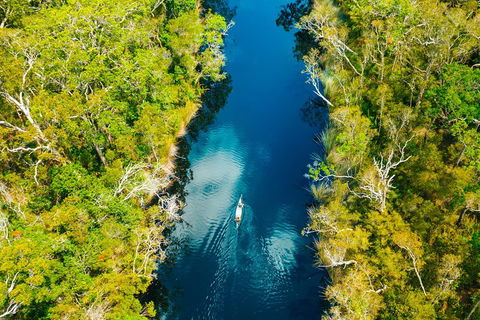 Cruise 'n' Canoe To Australia's Everglades - Yamba Accommodation 4