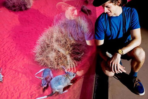 Alice Springs Desert Park General Entry Ticket - Yamba Accommodation 0