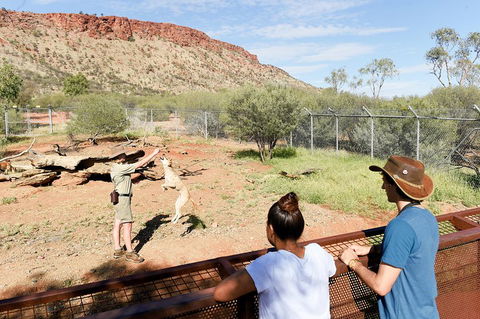 Alice Springs Desert Park General Entry Ticket - Yamba Accommodation 4