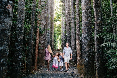The Original Day Tour To Paronella Park, Lake Barrine And Millaa Millaa Falls - Yamba Accommodation 1