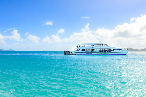 Whitehaven Beach And Daydream Island Cruise - Yamba Accommodation 2