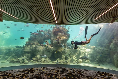 Whitehaven Beach And Daydream Island Cruise - Yamba Accommodation 4