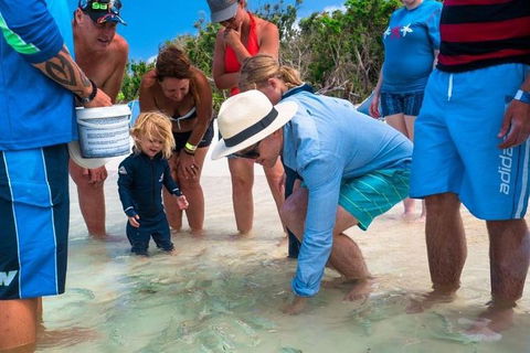 Whitehaven Beach And Hamilton Island Cruise - Yamba Accommodation 1