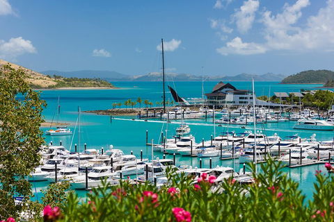 Whitehaven Beach And Hamilton Island Cruise - Yamba Accommodation 3