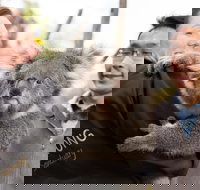 Bonorong Wildlife Park and Richmond Afternoon Tour from Hobart - Yamba Accommodation