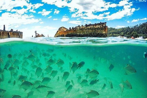 Adventure Moreton Island Day Pass - Yamba Accommodation 4