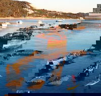 Adventure Moreton Island Wrecks Adventure Package - Yamba Accommodation