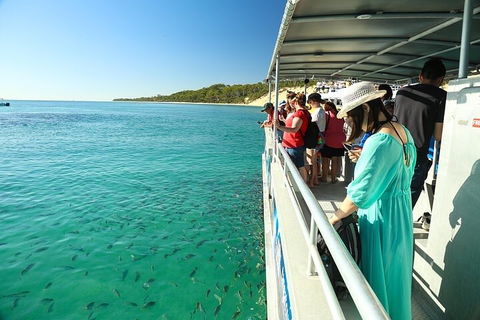 Adventure Moreton Island Wrecks Adventure Package - Yamba Accommodation 1