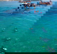 Adventure Moreton Island Scuba Dive Tour - Yamba Accommodation