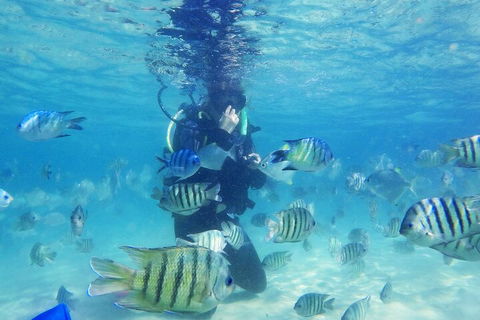 Adventure Moreton Island Scuba Dive Tour - Yamba Accommodation 1