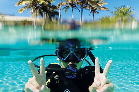 Adventure Moreton Island Scuba Dive Tour - Yamba Accommodation 2