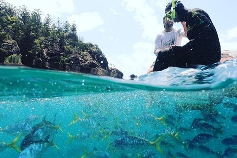 2 Night Small Group Whitsundays Sailing Adventure Aboard Mandrake - Yamba Accommodation 5