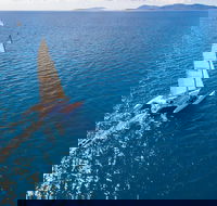 2-Night Whitsunday Islands Sailing Adventure on Trimaran Avatar - Yamba Accommodation