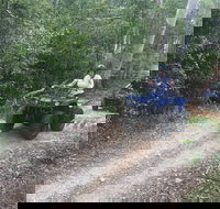 Cairns ATV Adventure Tour and Morning Train - Yamba Accommodation