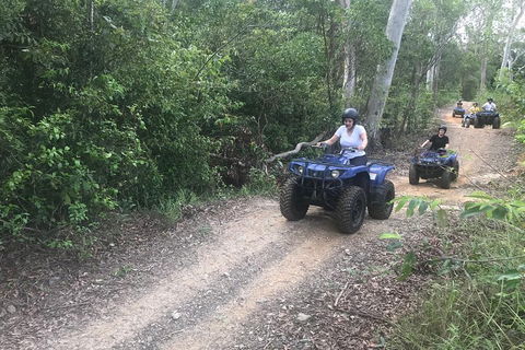 Cairns ATV Adventure Tour And Morning Train - Yamba Accommodation 0