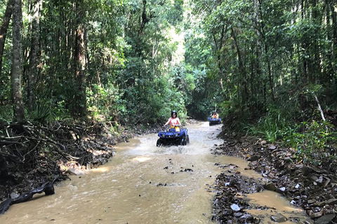 Cairns ATV Adventure Tour And Morning Train - Yamba Accommodation 1