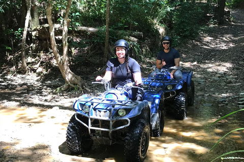 Cairns ATV Adventure Tour And Morning Train - Yamba Accommodation 2