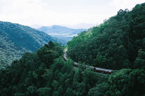 Cairns ATV Adventure Tour And Morning Train - Yamba Accommodation 3