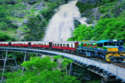 Cairns ATV Adventure Tour And Morning Train - Yamba Accommodation 4