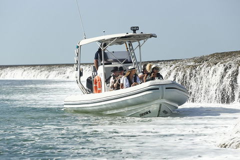 Cygnet Bay Explorer - Yamba Accommodation 2